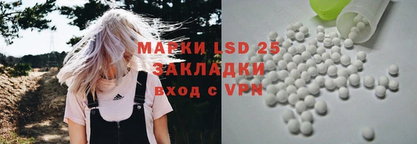 индика Алзамай