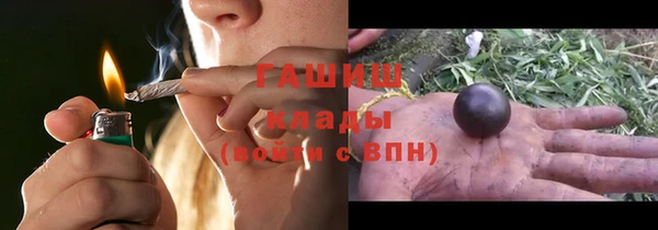 индика Алзамай