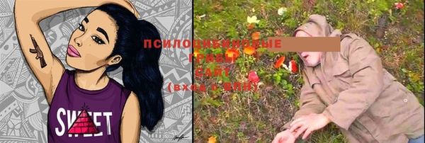 индика Алзамай