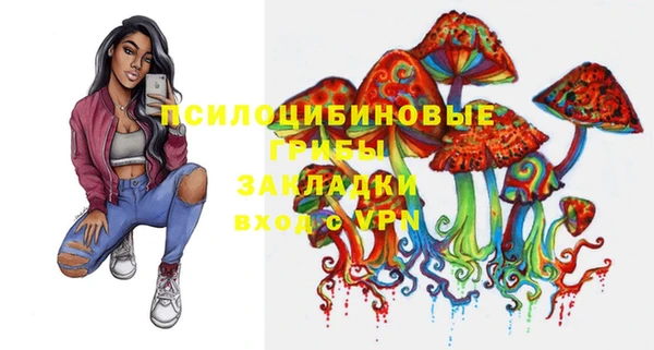 стаф Пролетарск