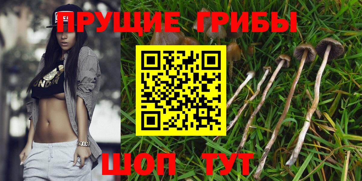 Галлюциногенные грибы MAGIC MUSHROOMS Чистополь